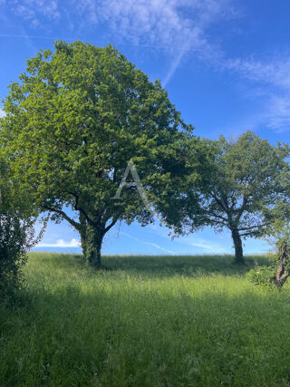  Terrain à vendre 2981 m²