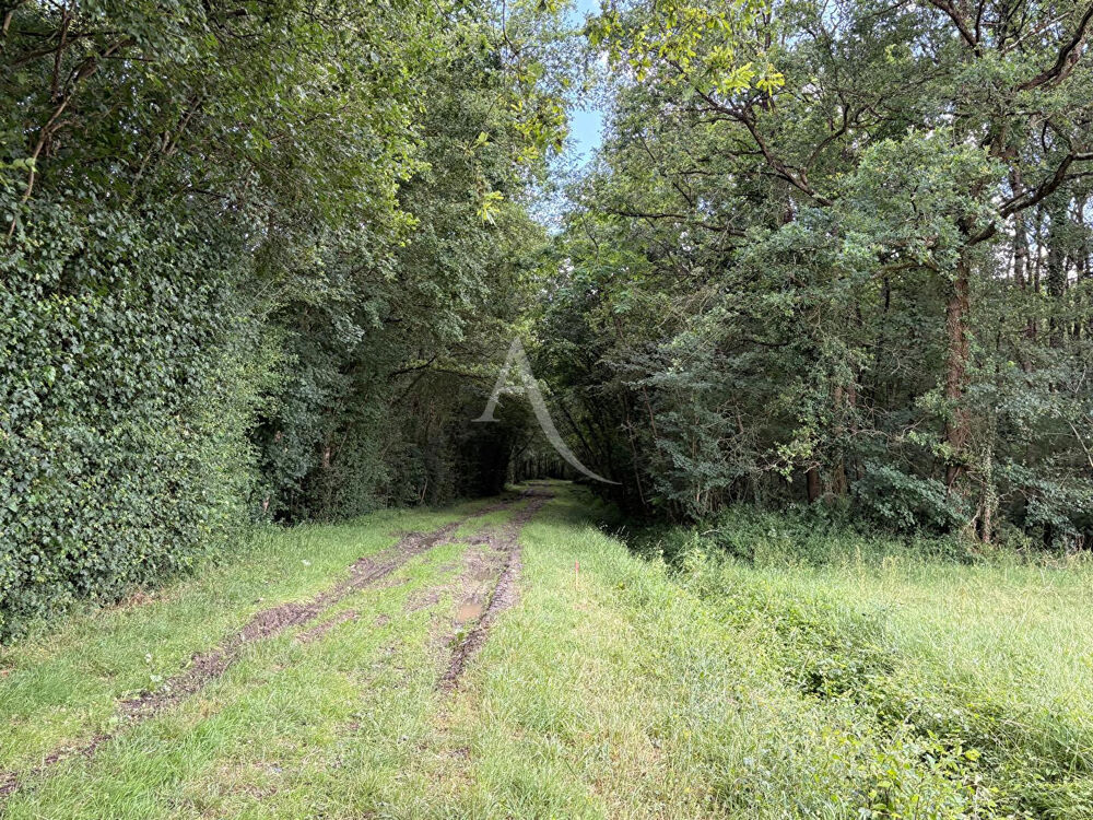 Vente Terrain Domaine forestier Le Plessis Grammoire Le plessis grammoire
