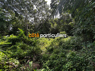  Terrain  vendre 3391 m