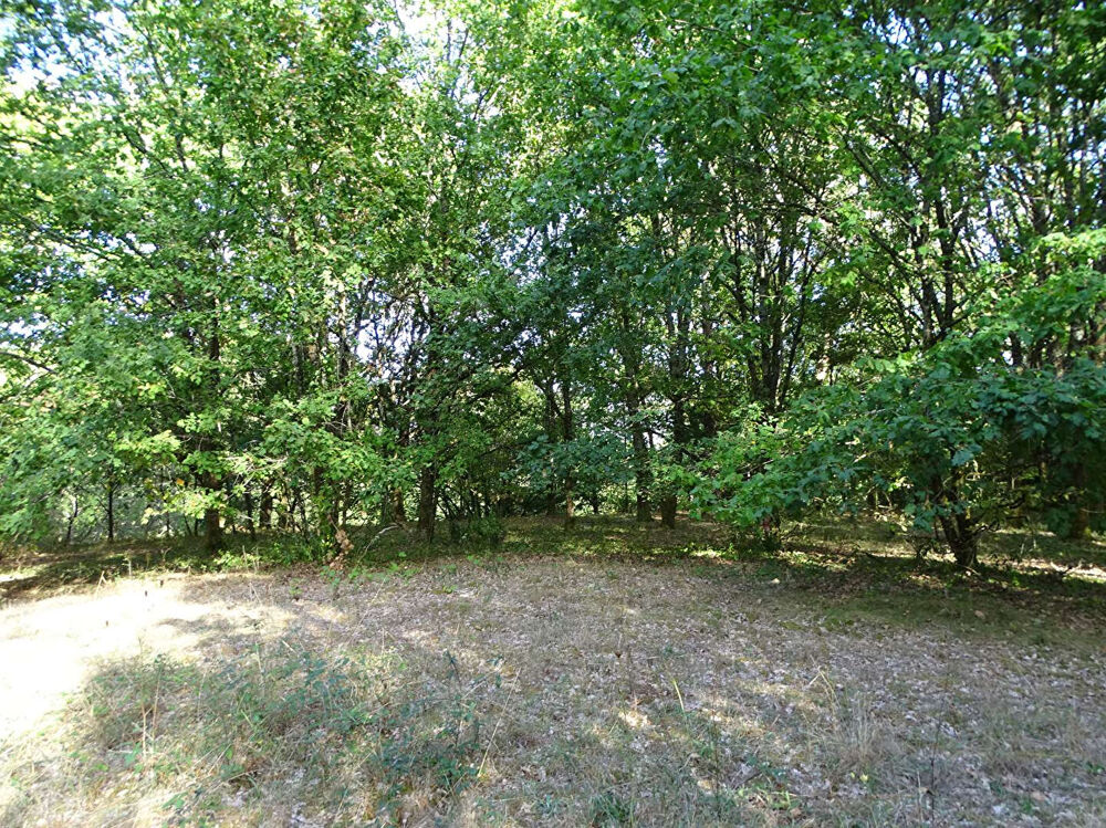 Vente Terrain Terrain Saint Laurent Des Hommes 5000m2 (dont 1400m² constructibles) Saint laurent des hommes