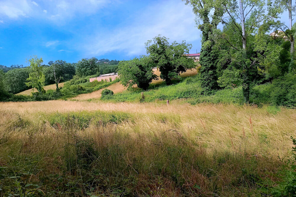 Vente Terrain Terrain constructible de 4217 m²  à Mirandol Bourgnounac Mirandol bourgnounac
