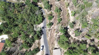  Terrain � vendre 18305 m�