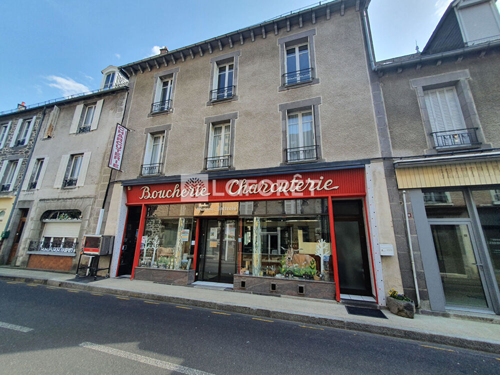 Vente Immeuble Immeuble Pierrefort Pierrefort