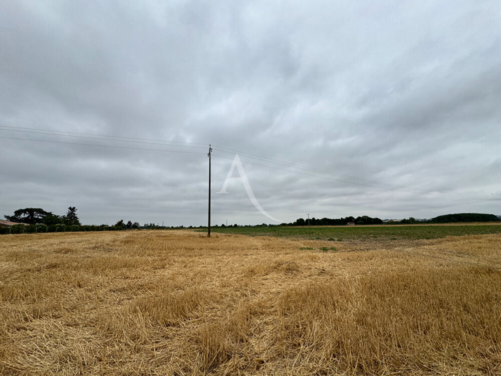 Vente Terrain Lisle-sur-tarn - Terrain de 4 hectares Lisle sur tarn