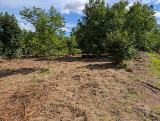  Terrain � vendre 1043 m�