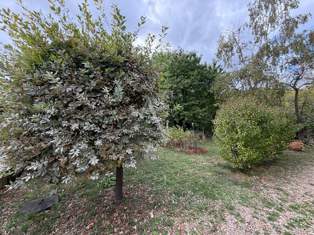 Vente Terrain Terrain d'une parcelle de 292.5 m² Noisy le grand
