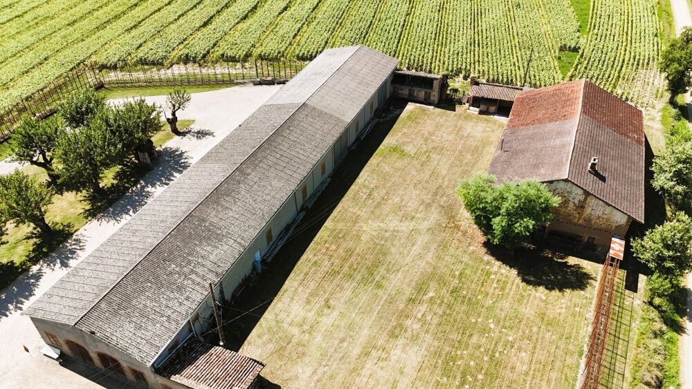 Vente Maison Domaine avec Maison de maître à restaurer et dépendances Negrepelisse