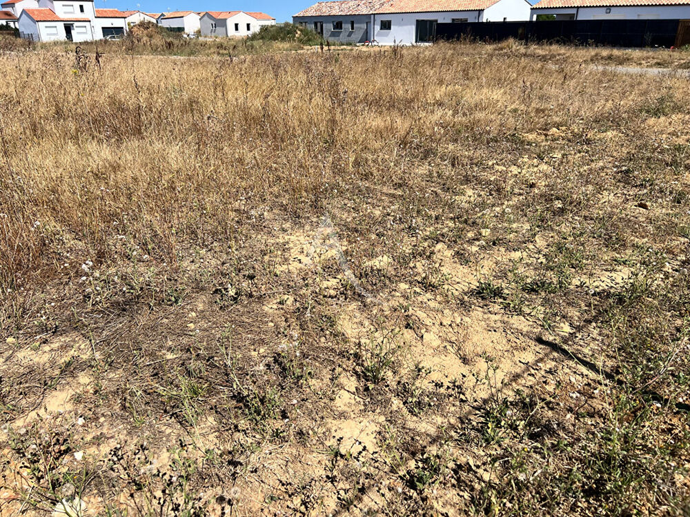 Vente Terrain Terrain Saint Vincent Sur Jard 339 m2 Saint vincent sur jard
