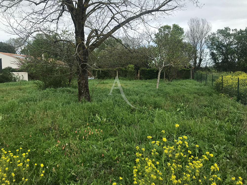 Vente Terrain Terrain Salles sur mer