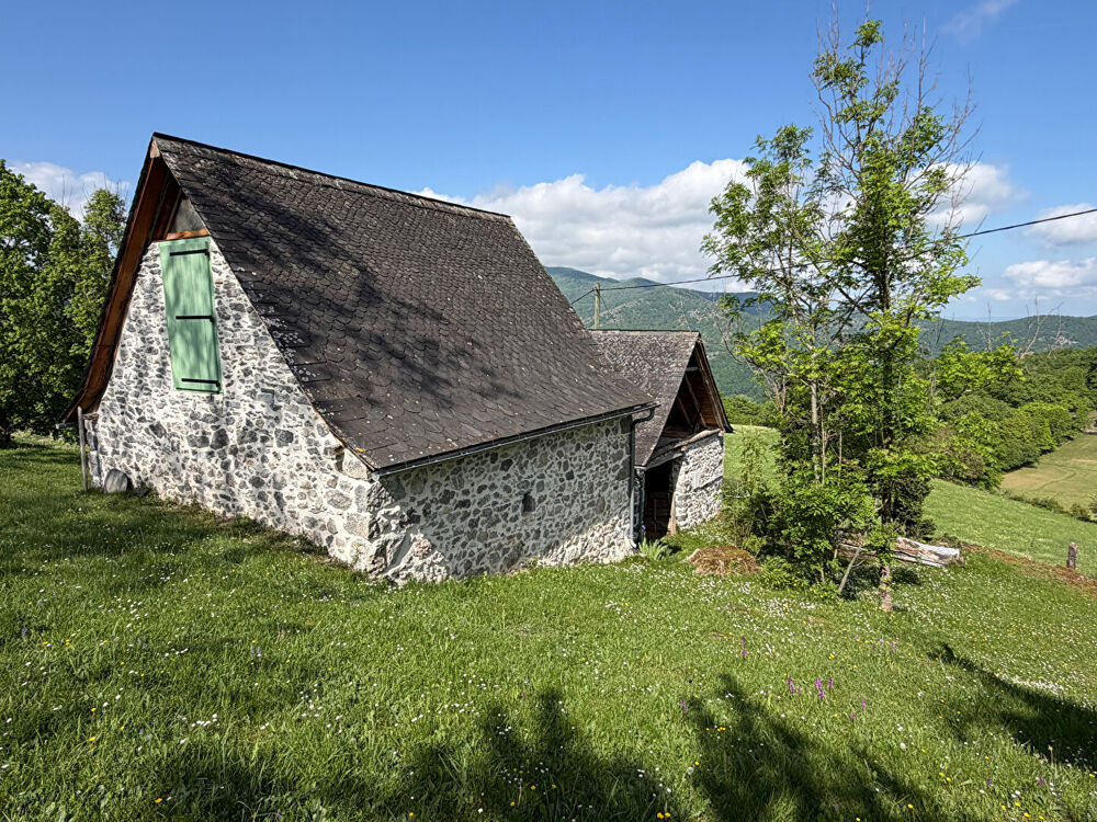 Vente Maison Maison,dépendance,grange sur les hauteurs de Moulis 09200 Moulis
