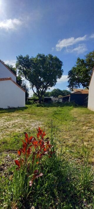  Terrain à vendre 456 m²