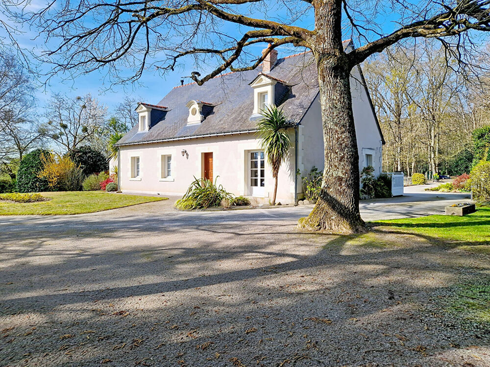 Charmante maison au calme - 6 chambres - BAUNE