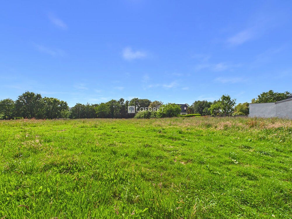 Vente Terrain Terrain Dineault 2381 m2 Dineault