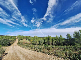  Terrain � vendre 11388 m�