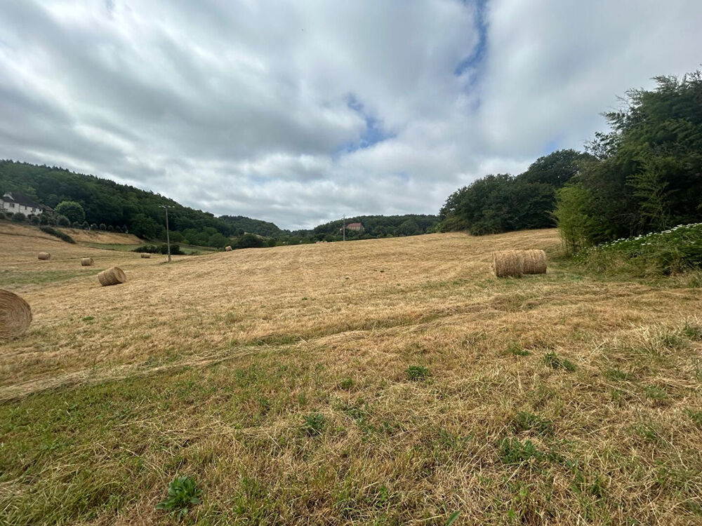 Propriété nature sans vis-à-vis ? 5,2 hectares à La Bachellerie