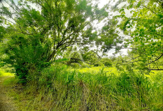  Terrain � vendre 922 m�