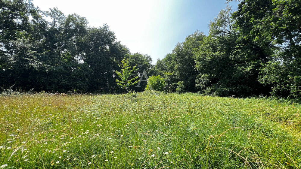 Vente Terrain Terrain Medis 3 223 m² viabilisé + possibilité d'étendre à 5 267m² Medis
