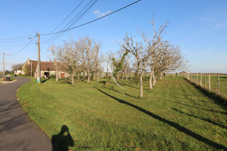  Terrain  vendre 980 m