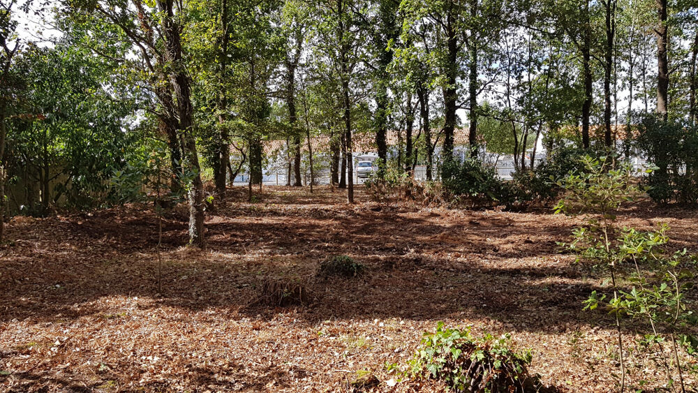 Vente Terrain Notre Dame De Riez terrain constructible 591 m2 Notre dame de riez