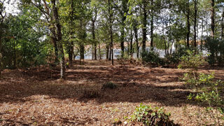  Terrain à vendre 591 m²