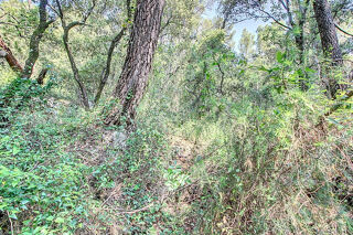  Terrain � vendre 