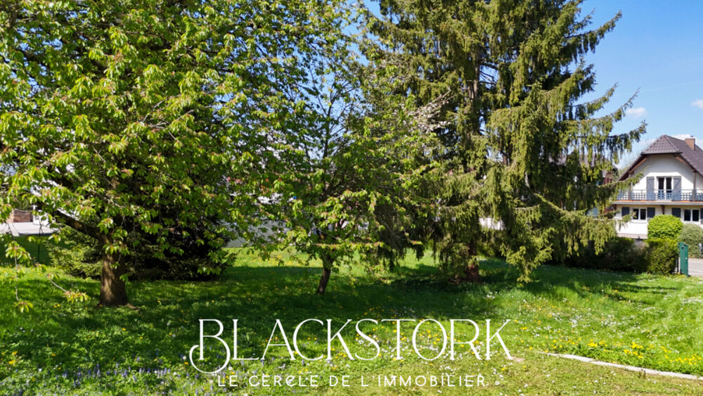 Vente Terrain Terrain dans un environnement d'exception - 11 ares 50 Dingsheim