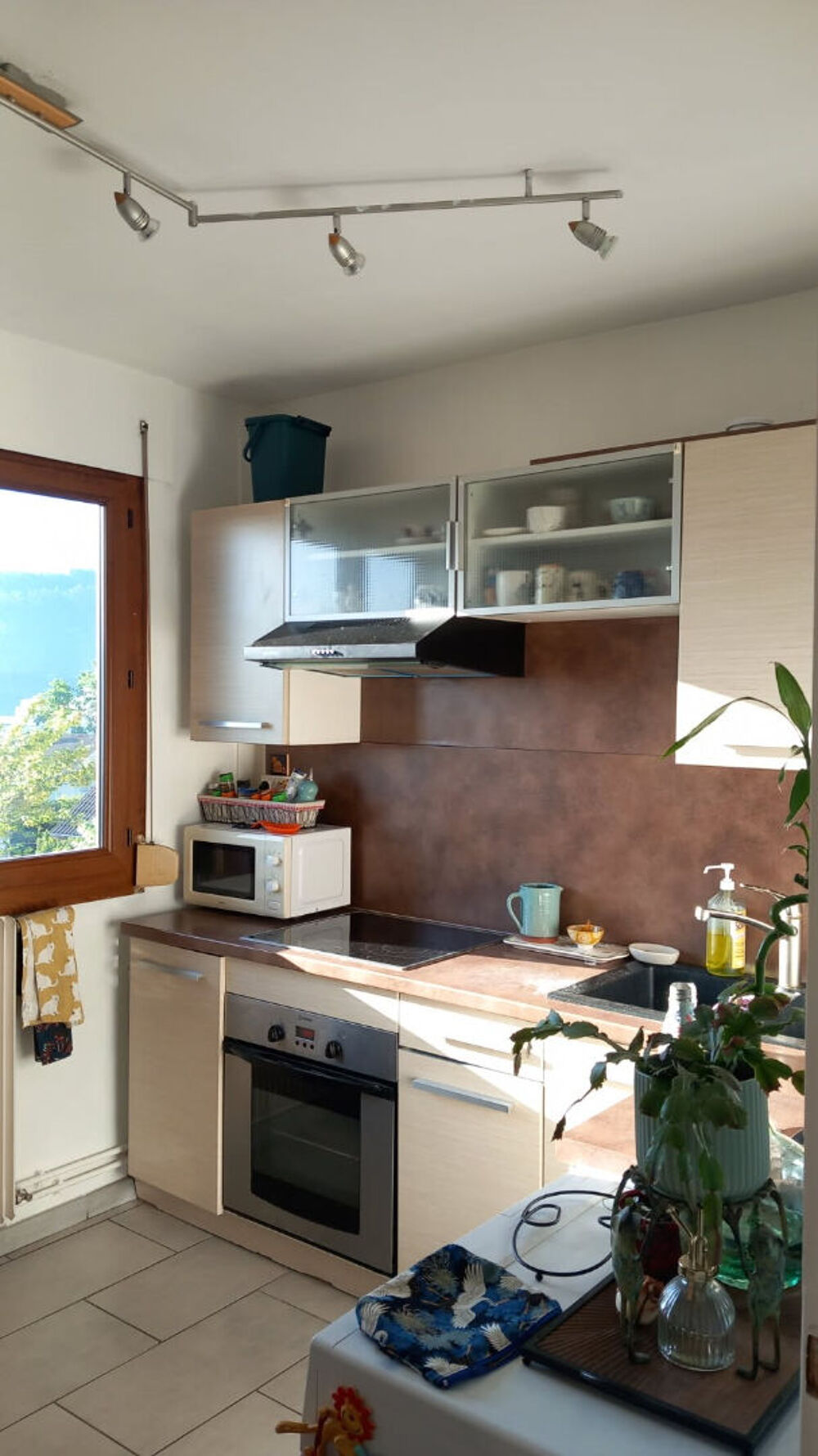 Location Appartement Appartement Annecy 2 pièce(s) 37 m2 Annecy