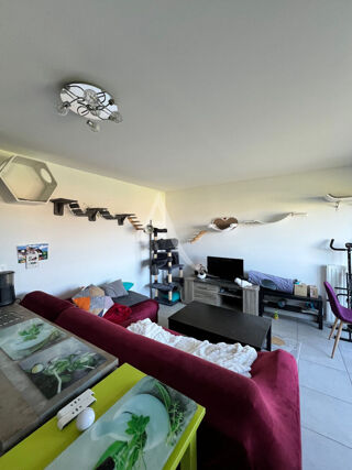  Appartement � louer 3 pi�ces 60 m�