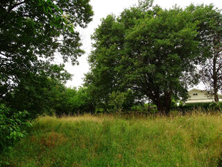  Terrain à vendre 1865 m²