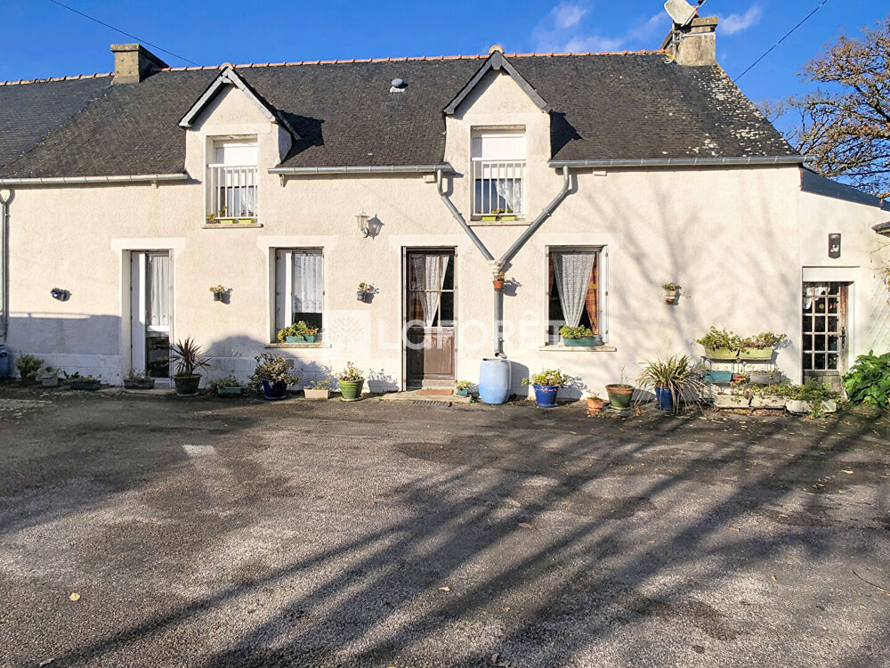Maison Réminiac 117 m² 4 chambres garage puits hangar jardin