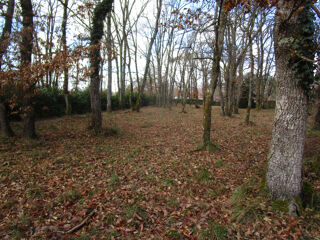  Terrain � vendre 2053 m�
