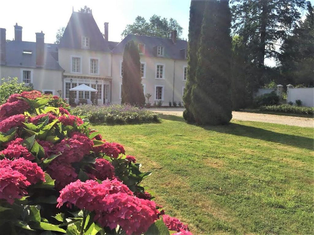 � vendre  Villa Ivoy-le-Pr� (18380)