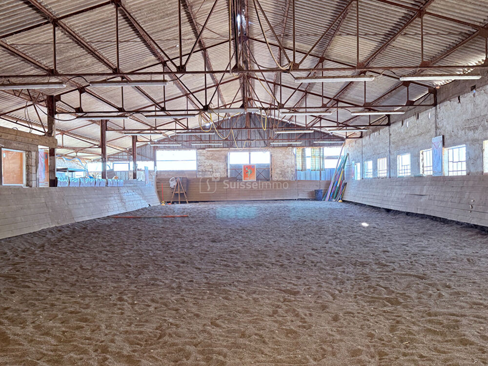 CENTRE EQUESTRE AVEC MANEGE COUVERT ET CABINET D'EQUITHERAPIE