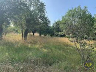  Terrain à vendre 1150 m²