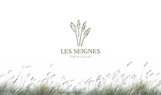  Terrain  vendre 299 m