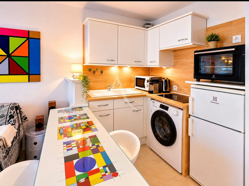 Vente Appartement Limite Banane superbe studio avec terrasse sud Cannes