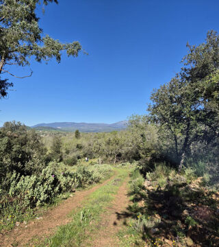  Terrain � vendre 6717 m�