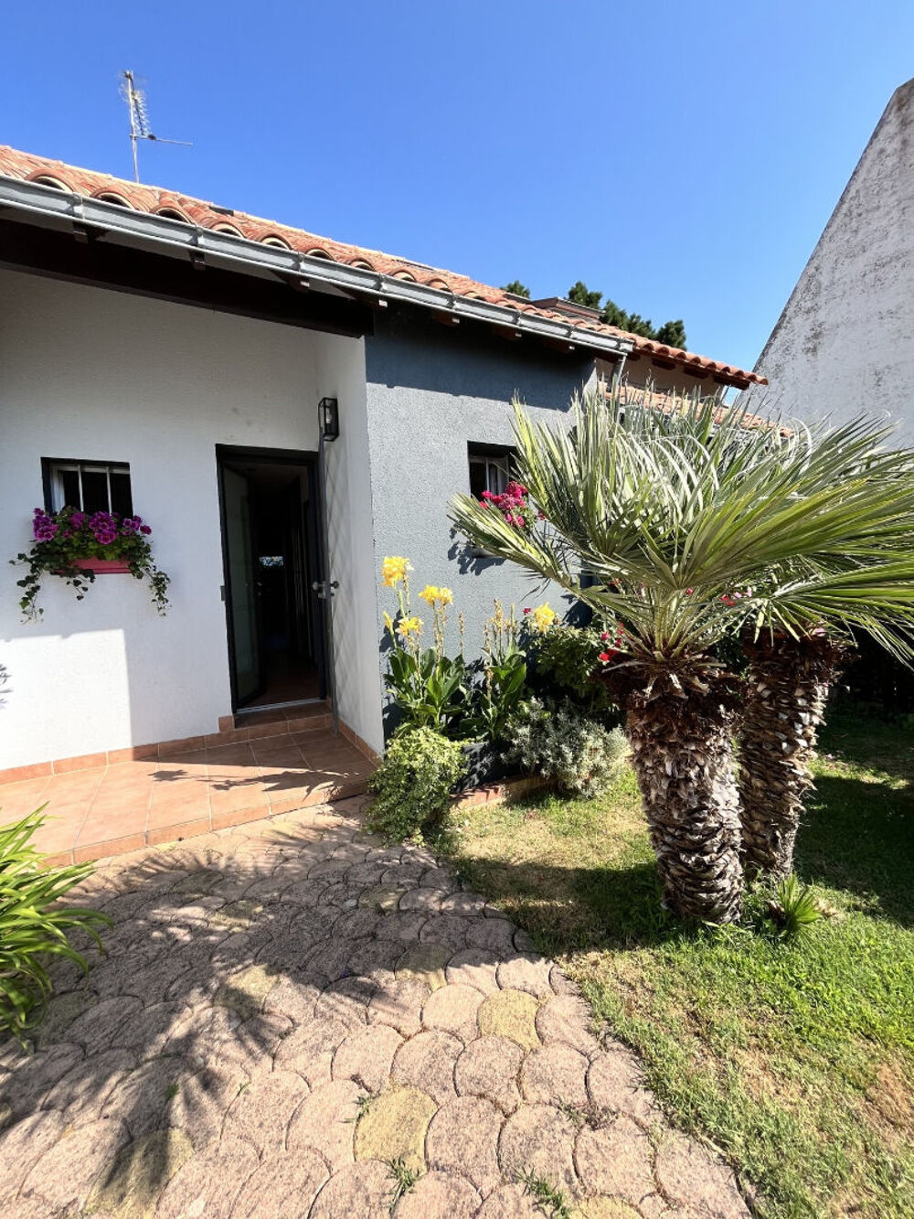 Proche côte sauvage.
