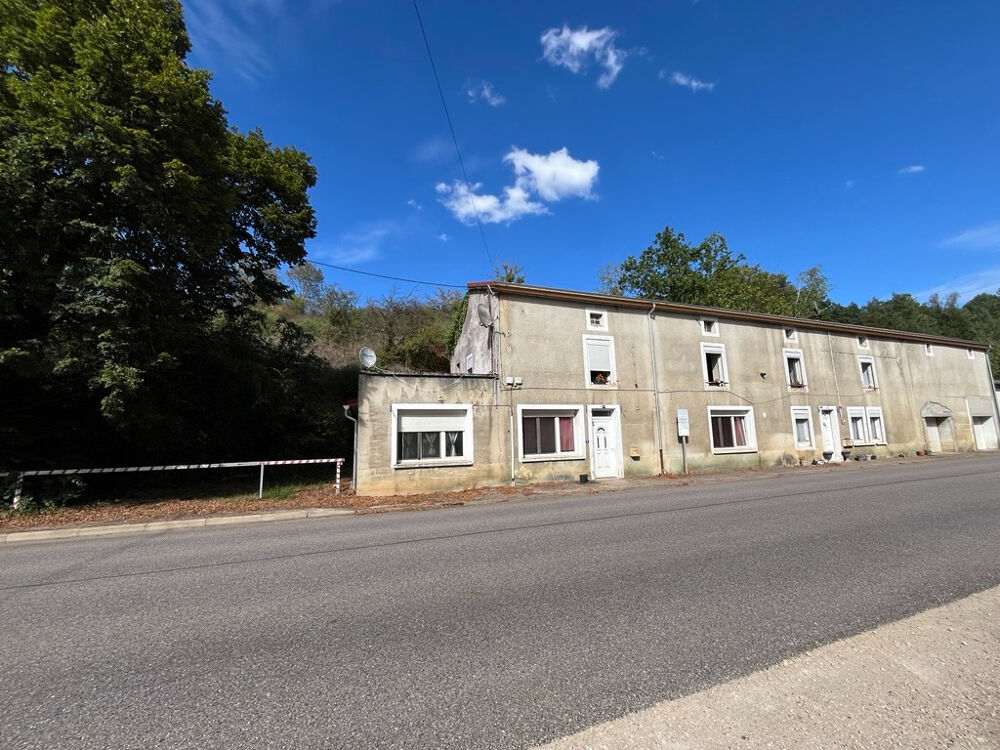 Vente Immeuble Immeuble Villars  9 pièces 227 m2 Circourt sur mouzon