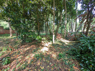  Terrain à vendre 1014 m²