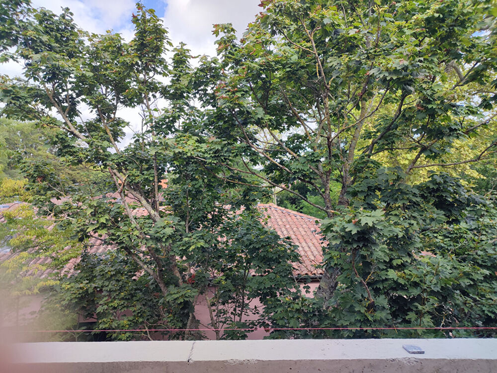 Vente Appartement VILLA SUR LE TOIT DANS LES ARBRES ? TERRASSE PANORAMIQUE DE 115 M² Toulouse