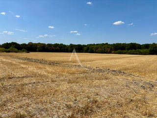  Terrain à vendre 15517 m²