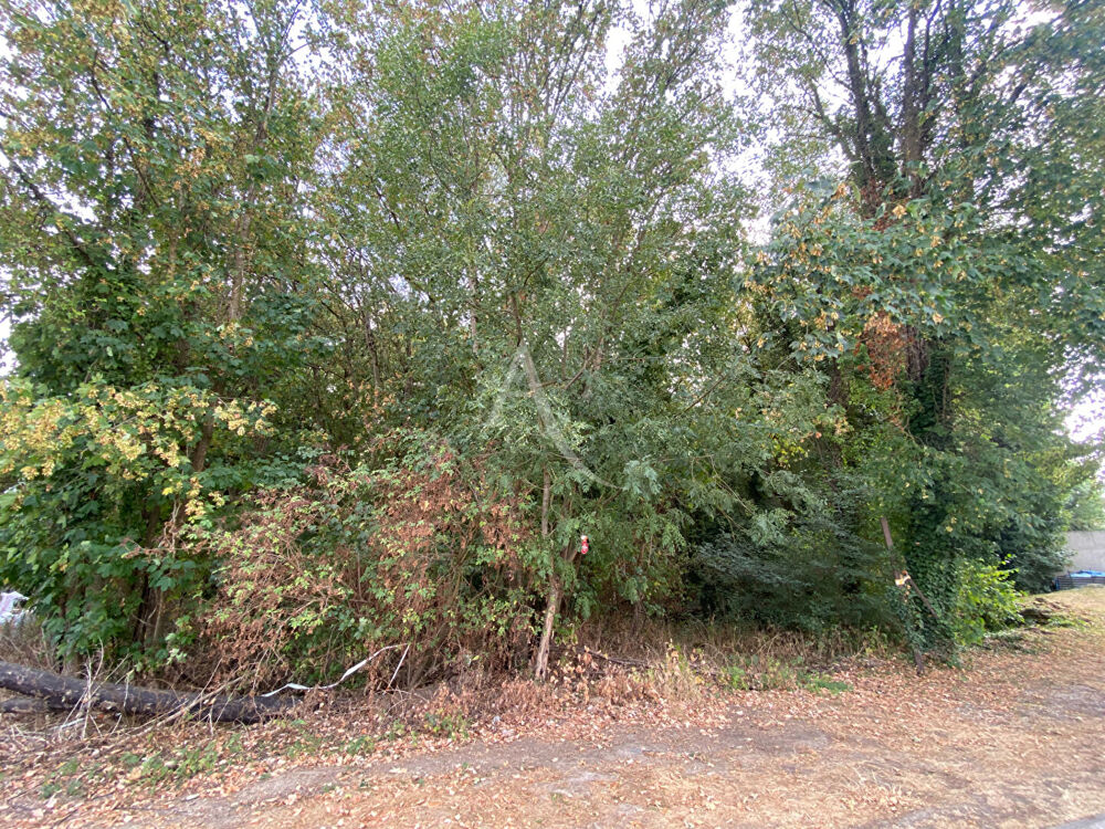Vente Terrain Terrain Moisenay 596 m2 Moisenay