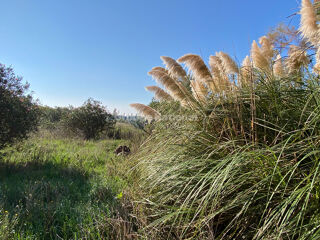  Maison � vendre 2 pi�ces 65 m�