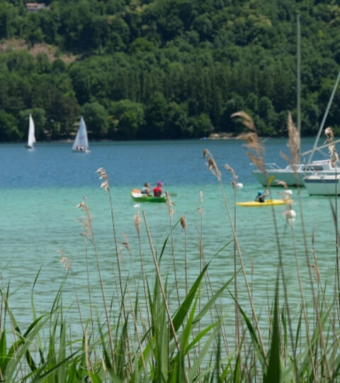   vente fonds de  restaurant - affaire de direction - LAC  tr�s pris� du tourisme �t� 