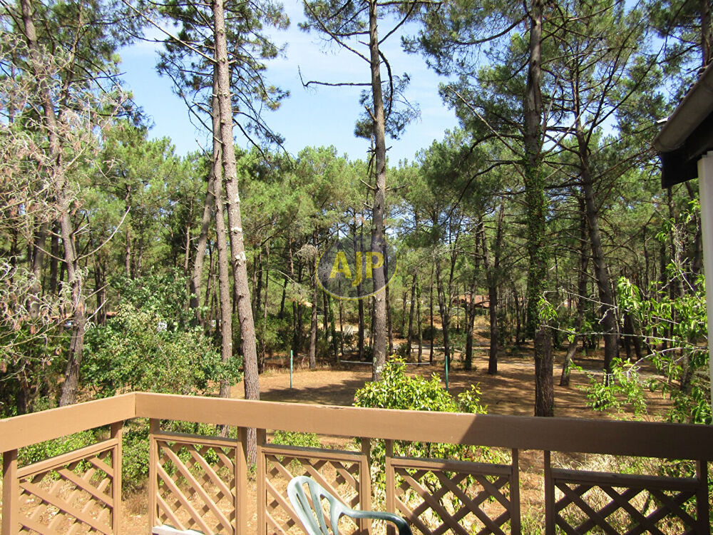 Maisonnette dans la pinède secteur sud
