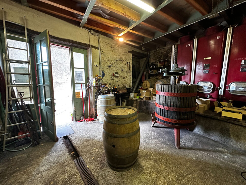 Vente Maison Charmante cave à vin, idéale pour être transformée en logement Caunes minervois