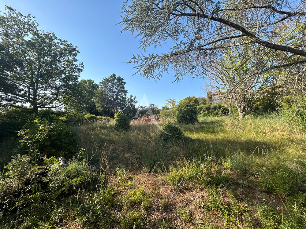 Vente Maison MAISON AVEC VUE DÉGAGÉE PARCELLE DE PLUS DE 4 000 M² Alairac