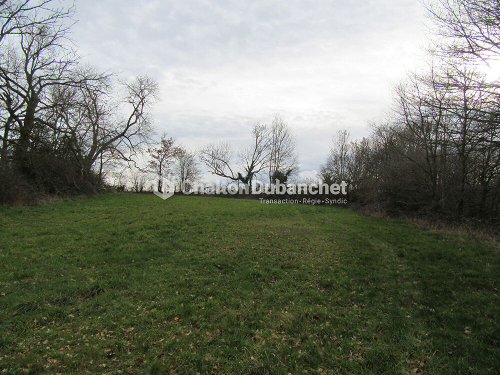 Vente Terrain Terrain de loisirs St Cyr De Favieres St cyr de favieres