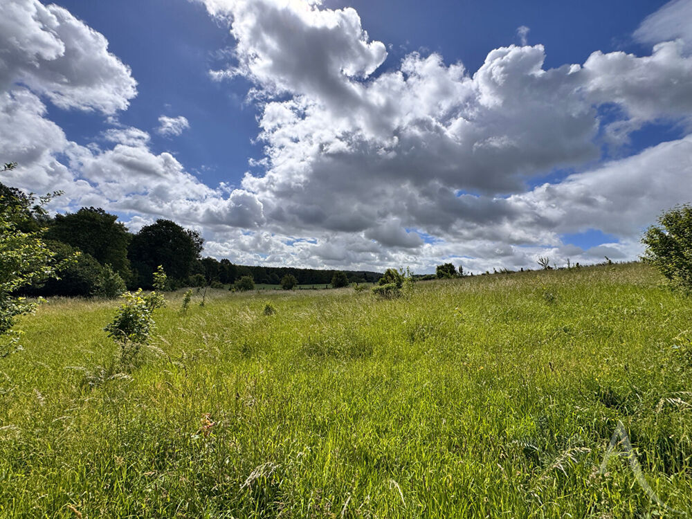 Vente Terrain CHAUSSOY-EPAGNY - PLUS DE 2,4 HECTARES DE NATURE Chaussoy epagny